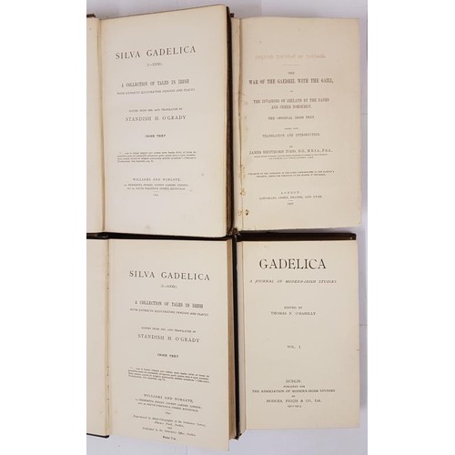 338 - Silva Gadelica (I.-XXI) A Collection of Tales in Irish with Extracts Illustrating Persons and Places... 