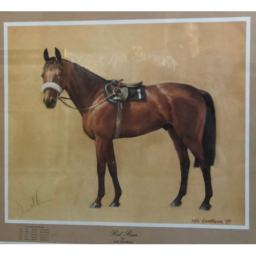 58 - Framed print of Red Rum. 20.5 x 18.5ins