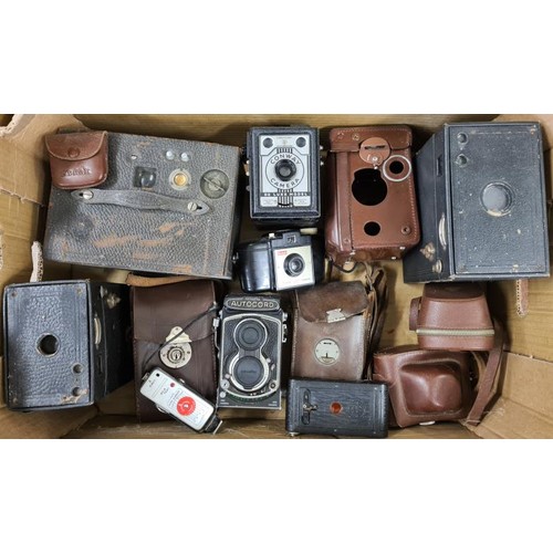 130 - Box of Vintage Cameras and Equipment