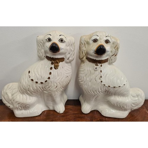 144 - Pair of White Staffordshire Model Spaniels, c.13in tall