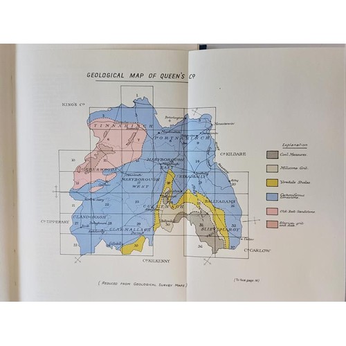 100 - History of the Queen's County in 2 vols John Canon O'Hanlon; Edward O'Leary; Matthew Lalor (Intro by... 