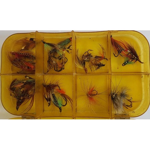 74 - Haynes of Cork Plastic Fly Box and contents