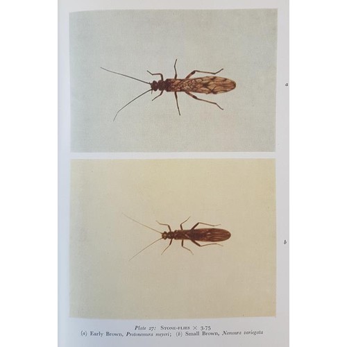 92 - An Angler's Entomology: The New Naturalist J. R. Harris, 103 Colour Photographs, 24 black and White ... 