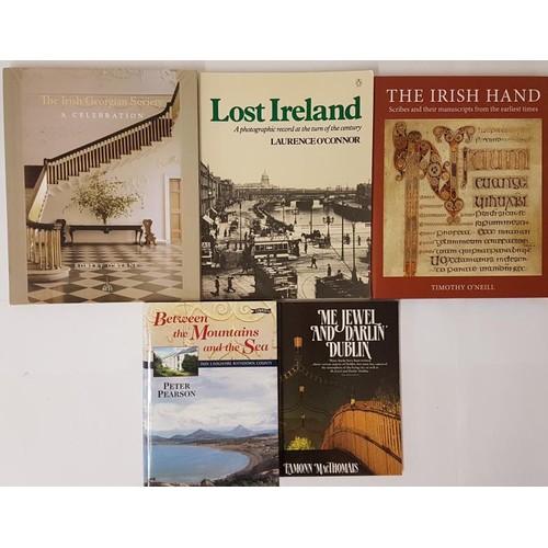 53 - The Irish Georgian Society- A Celebration by Robert O'Byrne; Lost Ireland -A Photographic record at ... 