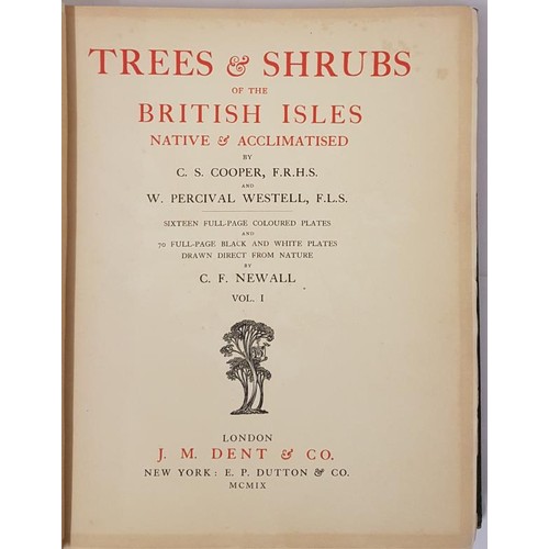 81 - Trees and Shrubs of the British Isles by C S Cooper and Percival Westell, published by Dent London 1... 