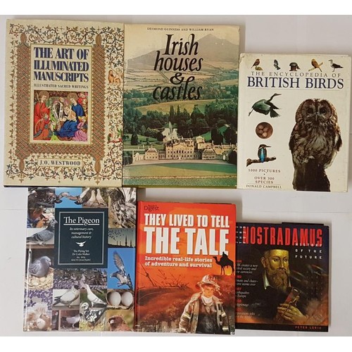 645 - Irish Houses and Castles by Desmond Guinness and william Ryan; The Art of Illuminated Manuscripts by... 