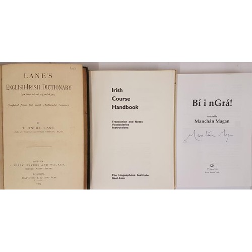 66 - Lane's English - Irish Dictionary (Focloir Bearla - Gaedhilge) Compiled from the Most Authentic Sour... 