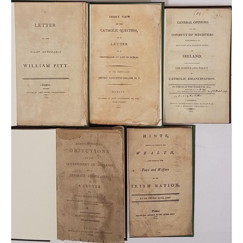 193 - (Rare Irish political works) Constitutional Objections to Government of Ireland by a separate legisl... 