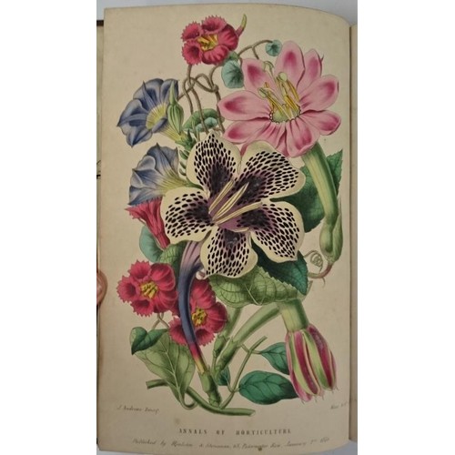 240 - The Gardener- Volume II. III and IV 1843, 1844 and 1846. Quarter bound, cloth, leather, illustrated ... 