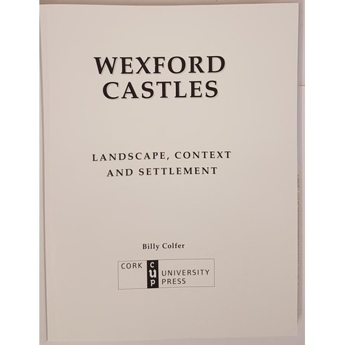 459 - Wexford Castles. Landscape. Context. Settlement by Billy Colfer. 2013. Large format. Dj. Near fine c... 