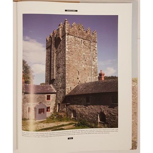 459 - Wexford Castles. Landscape. Context. Settlement by Billy Colfer. 2013. Large format. Dj. Near fine c... 