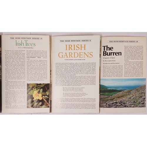 503 - Ruth I. Ross Irish Trees, 1980. With ephemera, Edward Mallin and The Knight of Glin. Irish Gardens 1... 