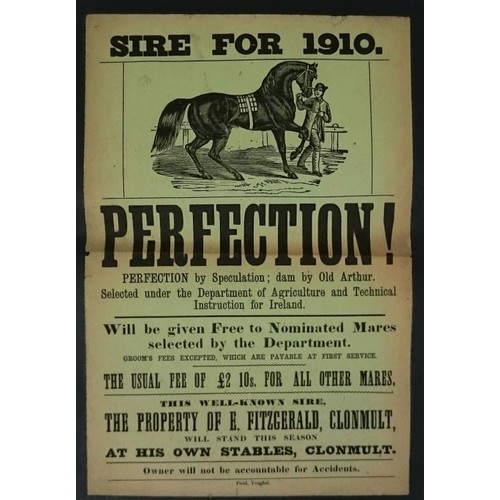 65 - Original Advertising Poster For 1910 Perfection, The Property of E Fitzgerald, Clonmel. Printer: Fie... 