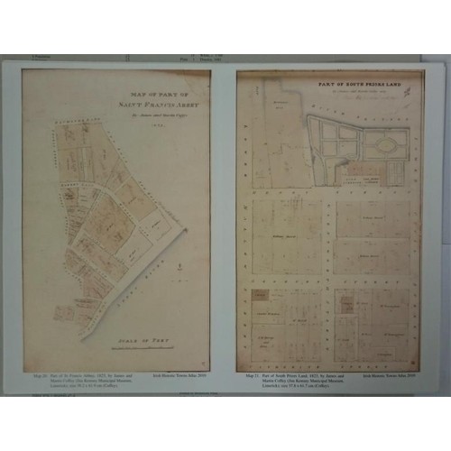 69 - Irish Historic Towns Atlas No 21 Limerick, examines the topographical development of Limerick's thre... 