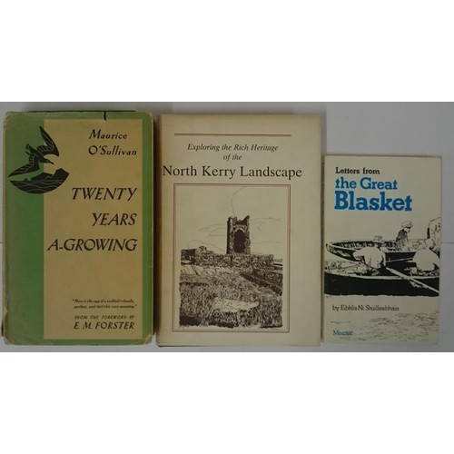 112 - Kerry] O’Sullivan, P & others Exploring the Rich Heritage of the North Kerry Landscape, 19... 