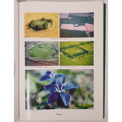 66 - Farming in Ireland. History, Heritage and Environment. John Feehan. 2003. 605 pages. large format. d... 