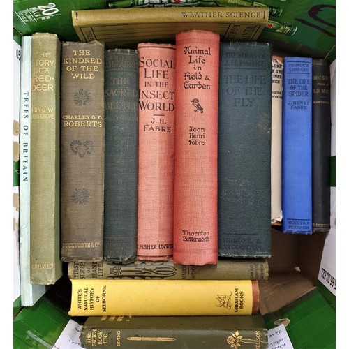 473 - Box of Nature Interest Books. The Kindered of the wild by Charles Roberts; Social Life in The Insect... 