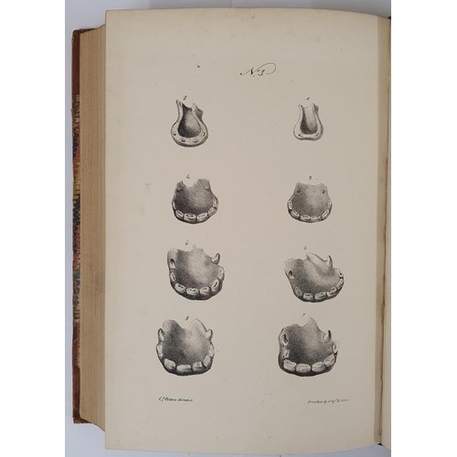 640 - J.G. Peters. A Treatise of Equitation or the Art of Horsemanship. 1935. 1st. 37 plates. Fine cntp. h... 