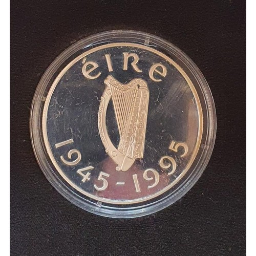 169 - Republic of Ireland, 1995 silver proof £1, 50th Anniversary of the UN, box and cert.