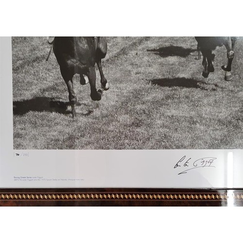 361 - Lester Piggott,-signed limited edition print-framed. Lester winning the Derby on Nijinsky the last H... 