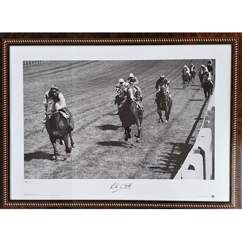 361 - Lester Piggott,-signed limited edition print-framed. Lester winning the Derby on Nijinsky the last H... 