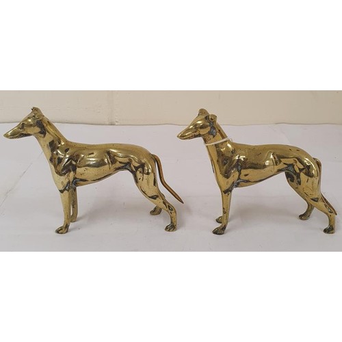 403 - Unusual Pair of Heavy Brass Greyhound Figures, c.14cm tall and 18cm long