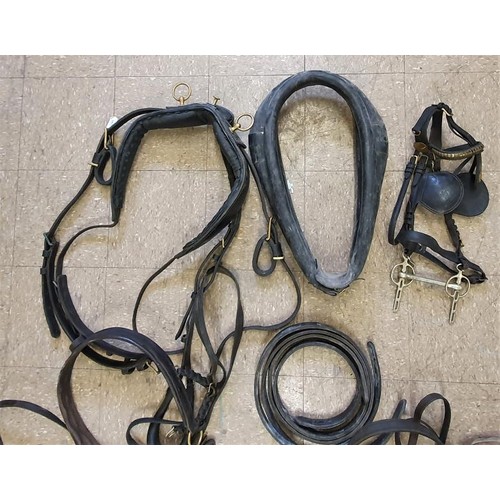 357 - Complete Set of Leather Horse Tack For Carriage Driving, Single Horse Tack with special collar made ... 