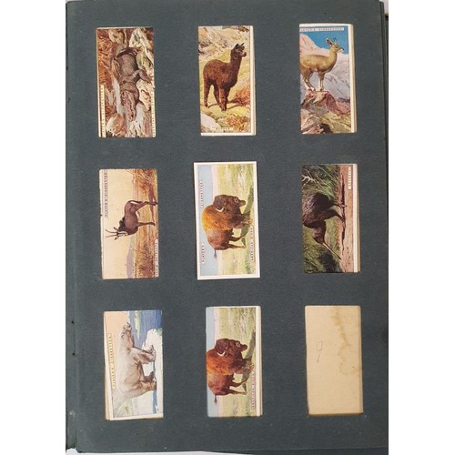 99 - Collection of John Player's Cigarette cards C 170, depicting sporting scenes, animals, birds , jocke... 