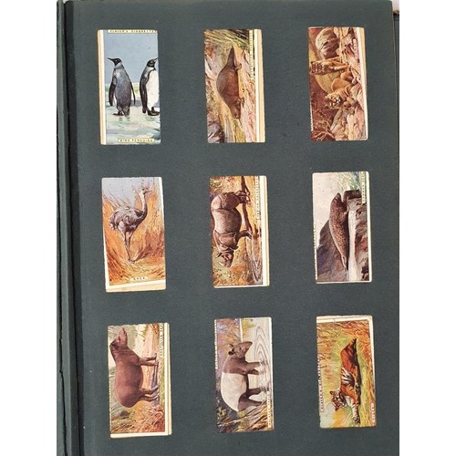 99 - Collection of John Player's Cigarette cards C 170, depicting sporting scenes, animals, birds , jocke... 