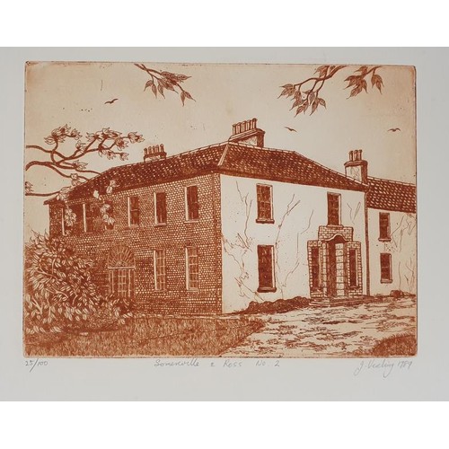 416 - Somerville & Ross - Portfolio of ten (10) original, large Etchings by John Verling [signed]. Fol... 