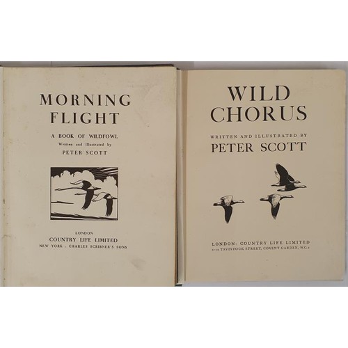 97 - Peter Scott, Morning Flight, a Book of Wildfowl, folio/quarto, 1941; with col paste down of Severn W... 