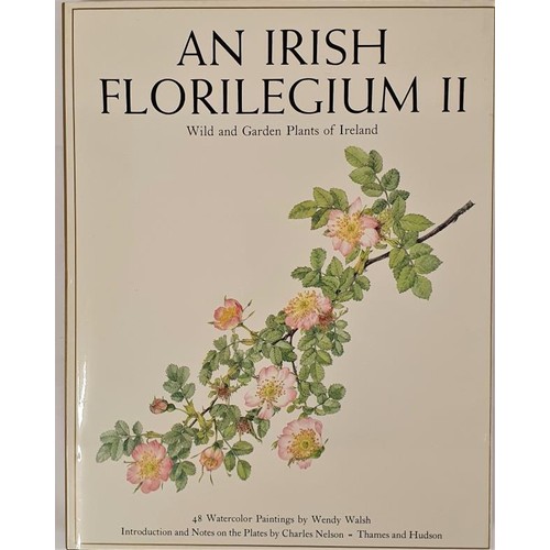 99 - An Irish Florilegium II by Charles and Wendy Nelson in illustrated DJ. 1987 Thames and Hudson, Londo... 