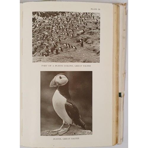 105 - Kennedy, P.G., Ruttledge, R.F. & Scroope, C.F. (1954). The Birds of Ireland. An account of the d... 