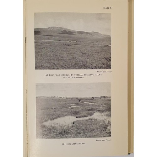 106 - Ruttledge, R.F. (1966) Ireland’s Birds. Their Distribution and Migrations. London. H.F & G... 