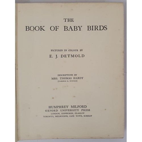 108 - Detmold, Edward. Book of Baby Birds. Humphrey Milford (OUP) 1919. 4to. 11.5 x 9in. 19 col plates. Or... 