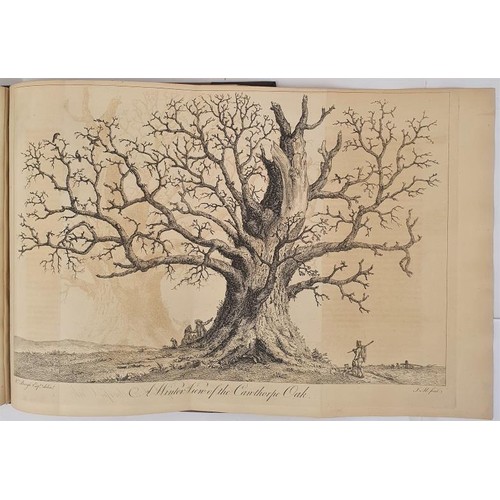 119 - Evelyn, John. Sylva, discourse of Forest Trees. 1776. Hunter edit. Rebound in half calf with brown l... 