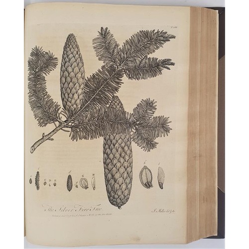 119 - Evelyn, John. Sylva, discourse of Forest Trees. 1776. Hunter edit. Rebound in half calf with brown l... 