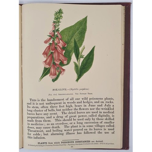 647 - Anne Pratt. Poisonous Noxious and Suspected Plants. c.1850. Quarto. With 44 hand coloured plates.