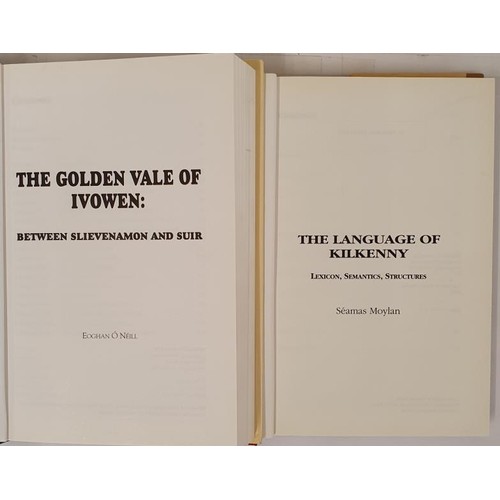 406 - The Golden Vale of Ivowen: Between Slievenamon and Suir and The Language of Kilkenny (2