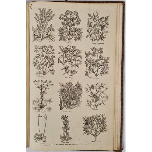 433 - Thomas Hall. A Complete Body of Husbandry 1756. Large folio. Decorative frontispiece and 11 fine eng... 