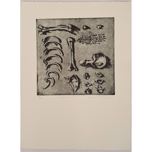 438 - NCAD Open Box 1993. Limited to approximately 20 sets. A collection of 15 etchings, linocuts, lithogr... 