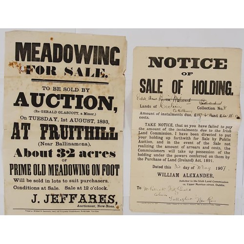 661 - Auction Posters: August 1893, Meadowing for Sale at Fruithill ( near Ballinamona) by J Jeffares Auct... 