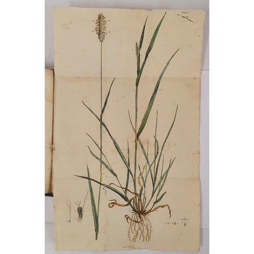 64 - An essay on the indigenous grasses of Ireland White, J. Published by Dublin: Graisberry & Campbe... 