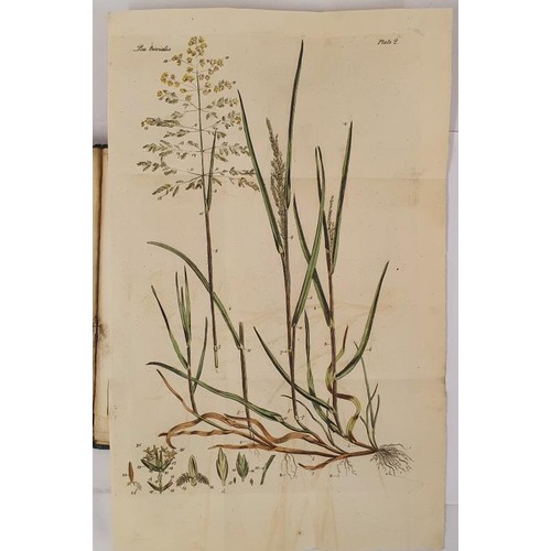 64 - An essay on the indigenous grasses of Ireland White, J. Published by Dublin: Graisberry & Campbe... 