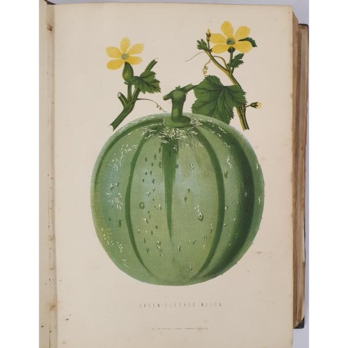 67 - Anderson, James. The New Practical Gardener, and Modern Horticulturist. 39 plates. No date, c.1872. ... 