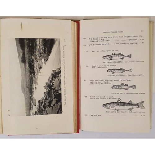 245 - Joseph Adams. The Angler's Guide to The Irish Fisheries. 1924. 1st With 16 illustrations and C.S. Wo... 