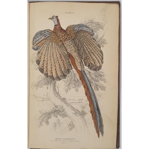 249 - Birds, Hand coloured plates] Jardine. Ornithology Vol. III Gallinaceous Birds. 1836. Numerous attrac... 