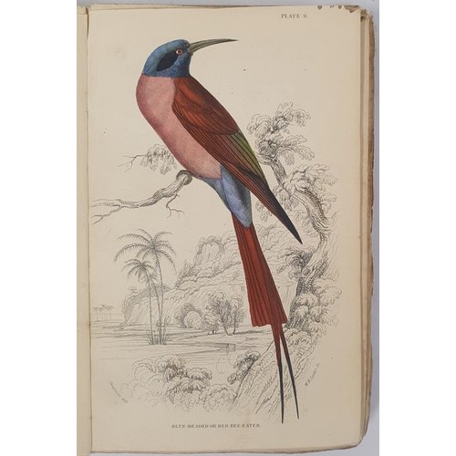 250 - Birds, Hand coloured plates] Swainson, W. Ornithology. Vol. VIII. Birds of Western Africa, 1837. Num... 