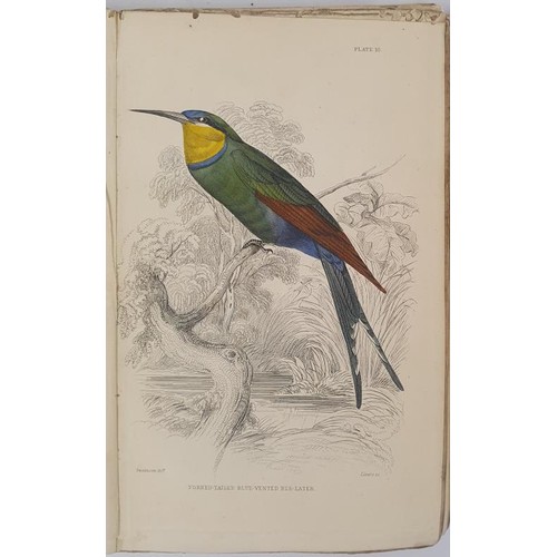 250 - Birds, Hand coloured plates] Swainson, W. Ornithology. Vol. VIII. Birds of Western Africa, 1837. Num... 