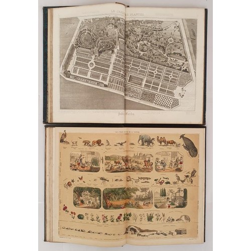 299 - Childrens Books] Boitard, M. Le Jardin des Plantes description et Moeurs des Mammiferes, Paris, 1840... 